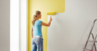Краска для стен и потолков